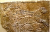 AssyrRelief2.jpg