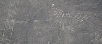 Aerial photo of a drawing of a hummingbird.
